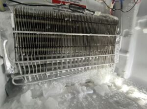 what is freezer burn 1